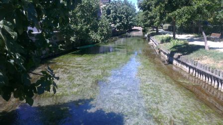 IMAG0286.jpg